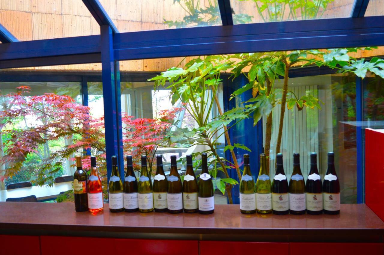 玛塔之家套房酒店-露台和全景 罗纳河畔的图尔农 外观 照片
